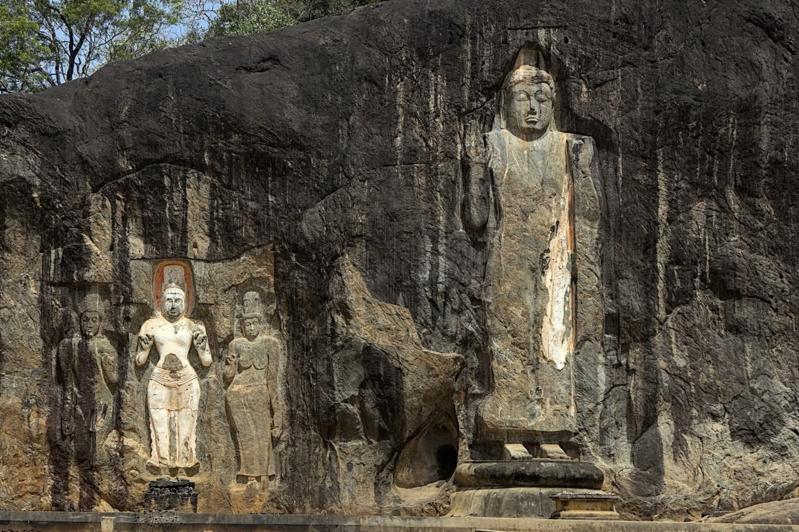 Une expérience de voyage mémorable au Sri Lanka