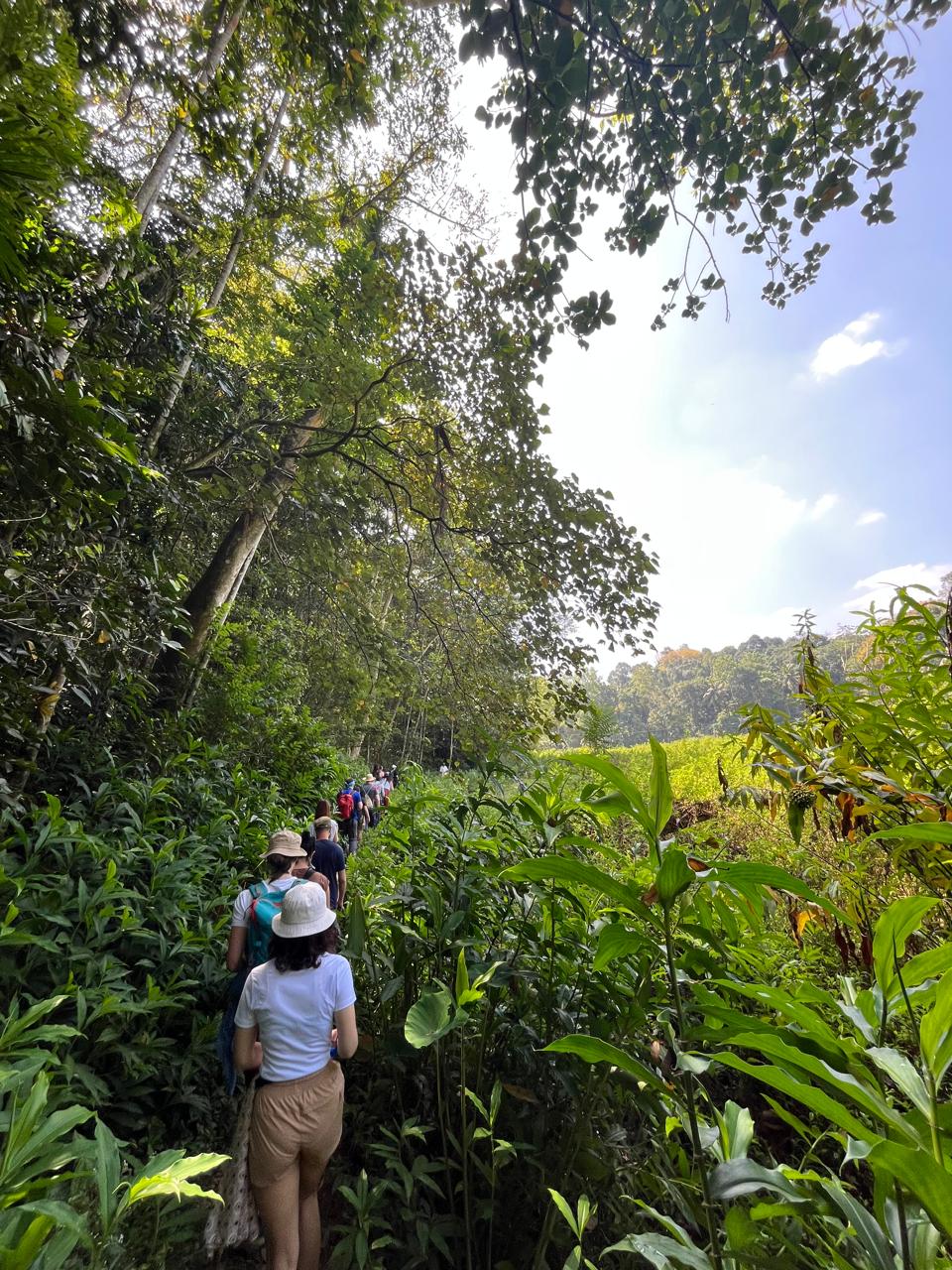 Trekking Through Tea Country — Pekoe Trail, Sri Lanka